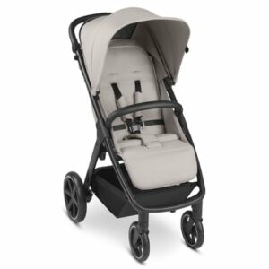 ABC DESIGN Buggy Avus Powder Kollektion 2023