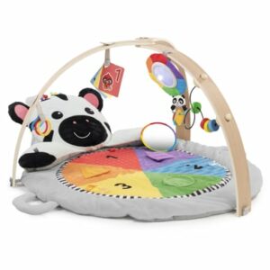 Baby Einstein Spielmatte Zen's Activity Milestones™