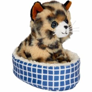 Coppenrath Katze Cleo im Korb - Lustige Tierparade