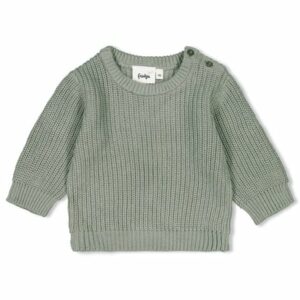 Feetje Strickpullover Little Forest Friends Minze