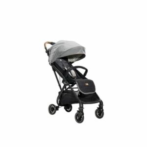 Joie Signature Tourist Buggy Carbon