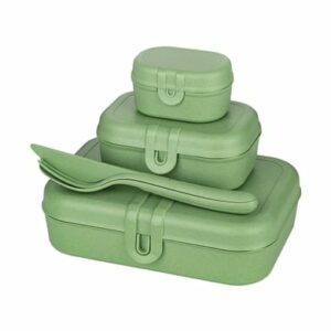 Koziol Lunchbox-Set inkl. Besteck Pascal Ready grün