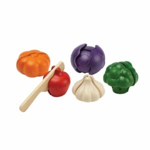 PlanToys Gemüse 5-farbiges Set