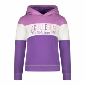 Salt and Pepper Hoodie College purple