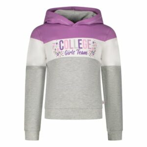 Salt and Pepper Hoodie College stone melange