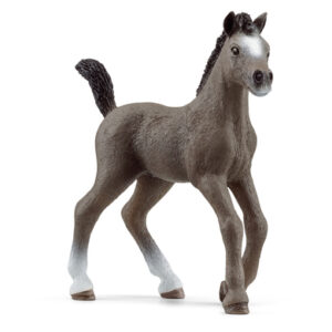 schleich® Cheval de Selle Francais Fohlen 13957