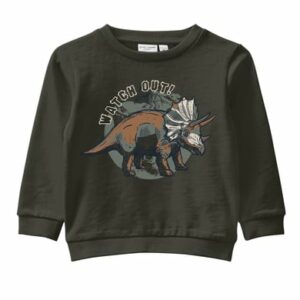 name it Sweatshirt Nmmvildar Rosin