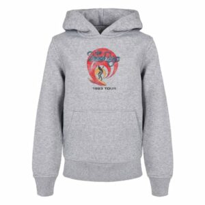 F4NT4STIC Basic Kids Hoodie The Beach Boys- Surfer '83 Vintage heathergrey